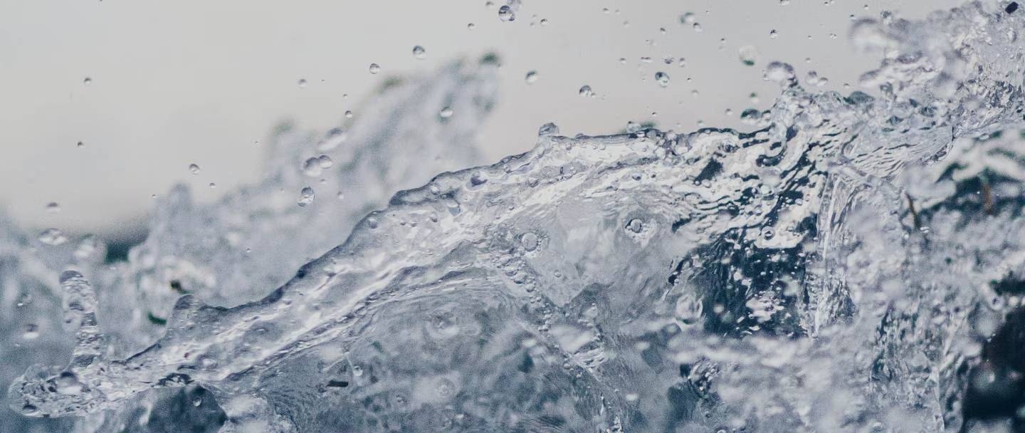 Sustainability banner image